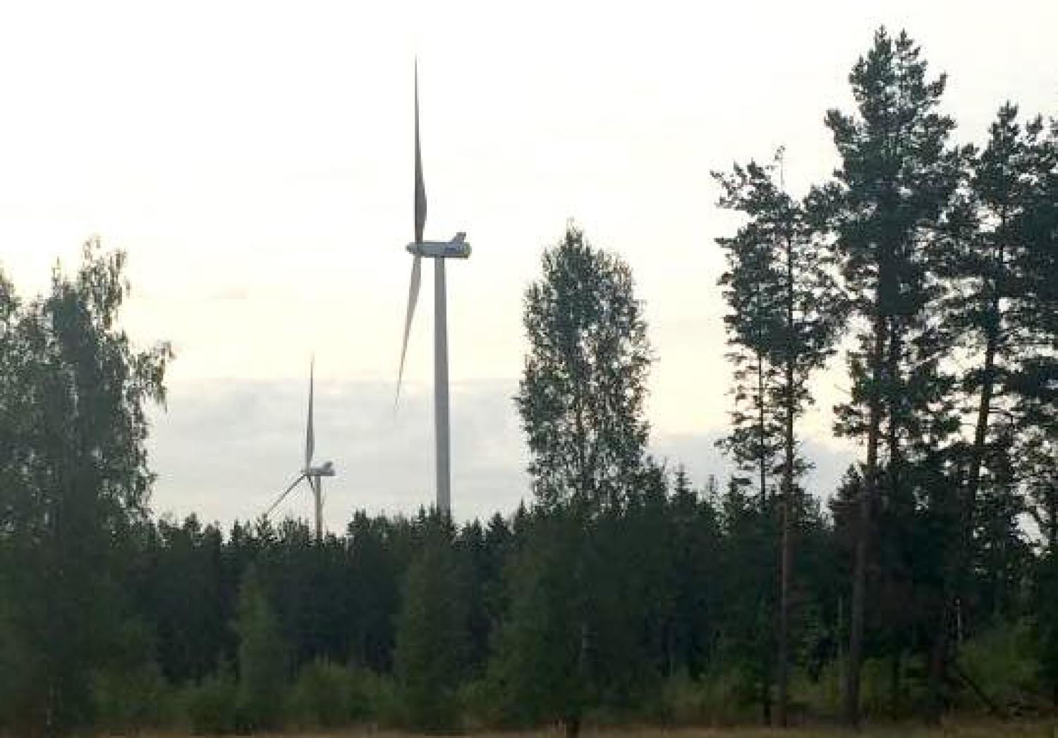 Två vindkraftverk står högt bland en skog av tallar under en molnig himmel.