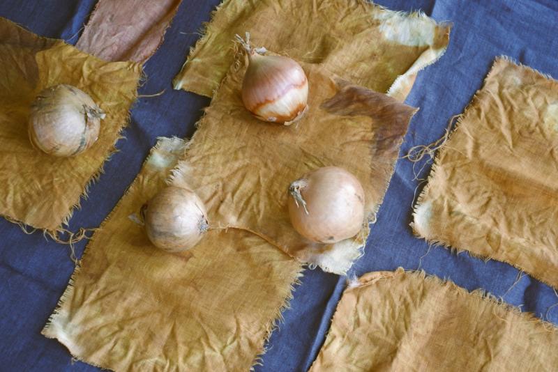 Gula lökar ovanpå ojämnt färgade gula tygkvadrater, placerade på en mörkare tygbakgrund.