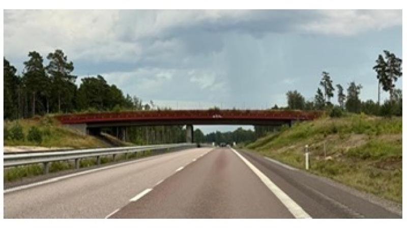 Utsikt över en motorväg med en röd bro som sträcker sig över den, omgiven av gröna träd och gräs under en molnig himmel.