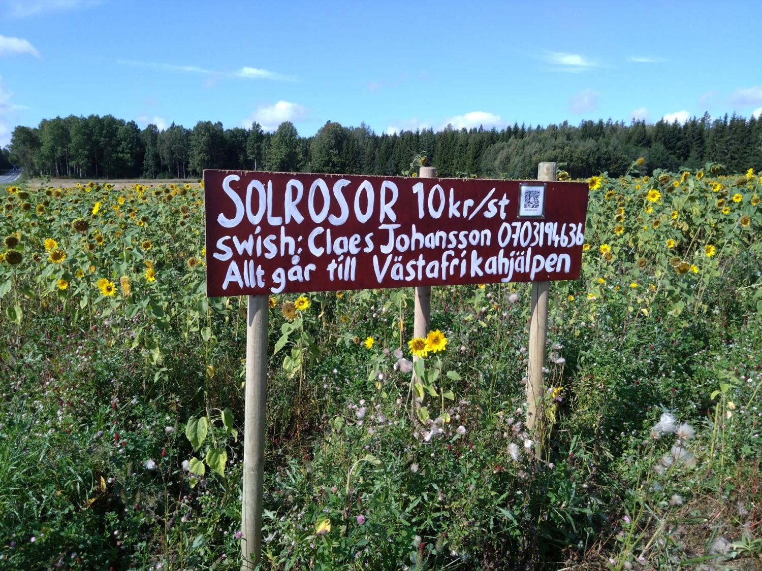 Ett fält med solrosor med en skylt som annonserar dem för 10 kr styck och ger kontaktuppgifter för köp, med intäkterna går till Västaffikhjälpen.