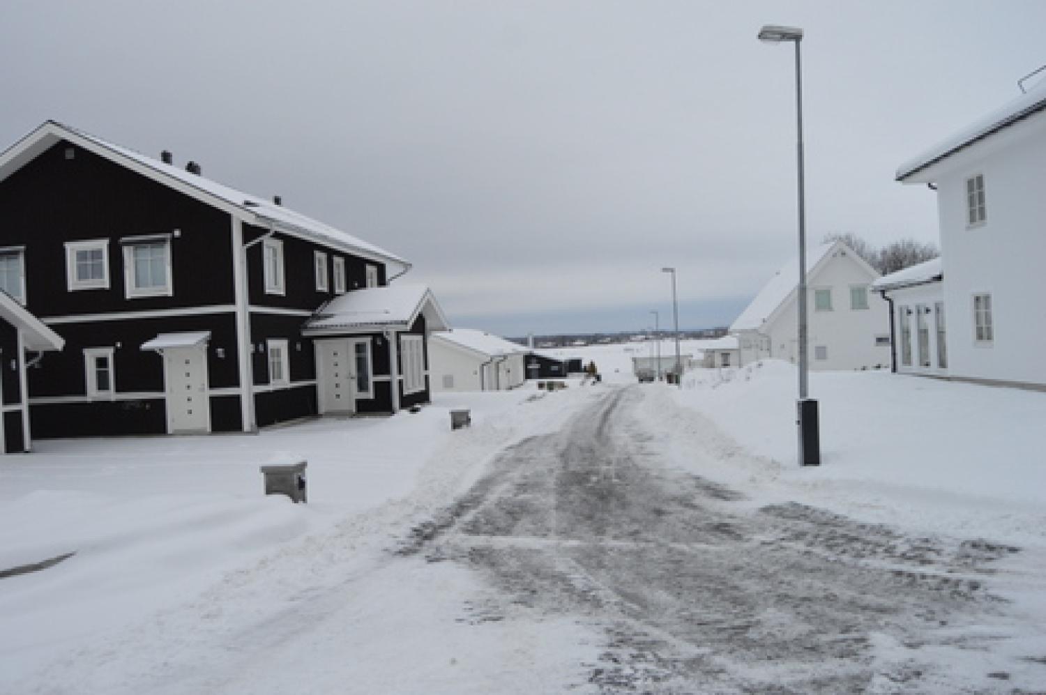 Snötäckt förortsgata med svartvita hus under en grå himmel.