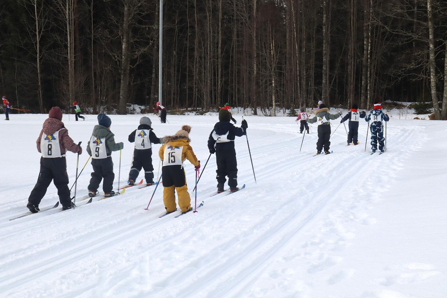 En grupp barn i numrerade nummerlappar åker längdskidor på ett snöigt spår med träd i bakgrunden.