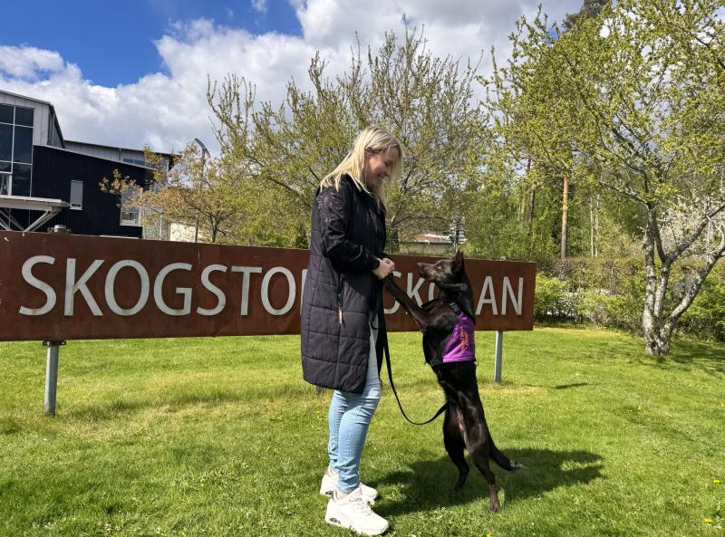 En kvinna i svart kappa håller i kopplet till en stående hund med lila sele framför en skylt med texten 