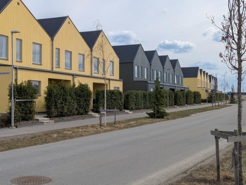 En rad moderna tvåvåningshus i gult och grått med sadeltak kantar en lugn gata med några unga träd och glest gräs.