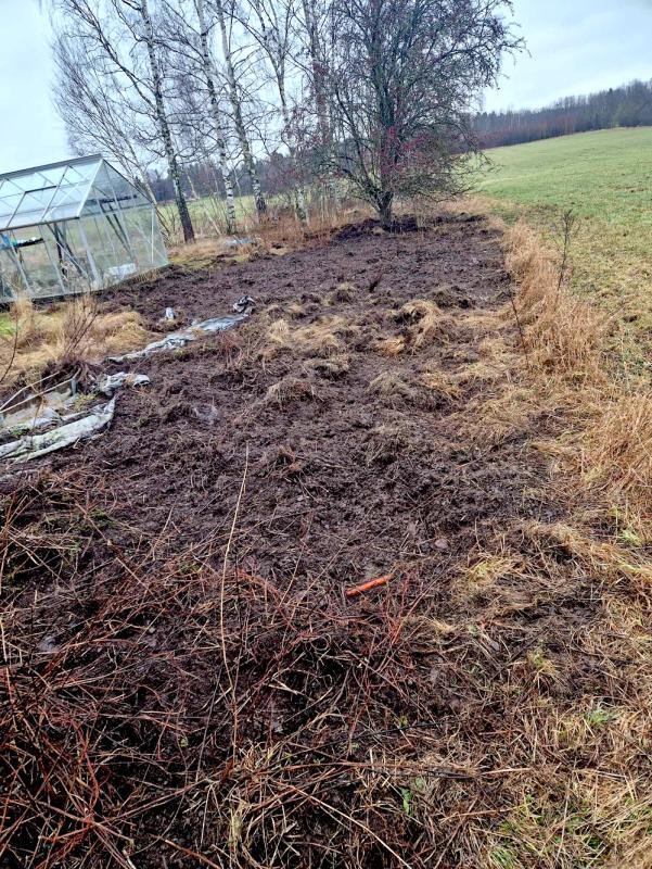 En lerig trädgård med torkade växter och ett närliggande växthus. Träd och öppna fält syns i bakgrunden.