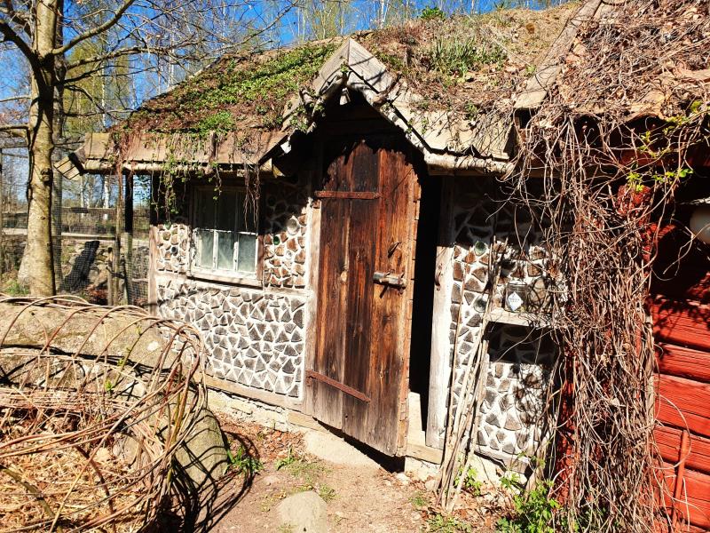 En rustik stuga i sten och trä med ett sluttande, mossbeklätt tak, en trädörr och ett litet fönster, omgiven av kala grenar och växtlighet.