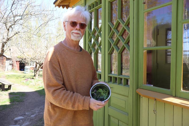 En äldre man med vitt hår och glasögon står utanför ett grönt trähus och håller i en metallskål med bladgrönsaker.
