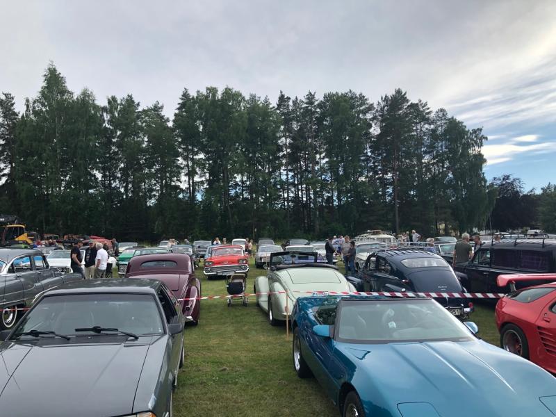 En stor utomhusuppställning av klassiska bilar som står parkerade på gräset, med människor som promenerar bland dem och höga träd i bakgrunden under en molnig himmel.