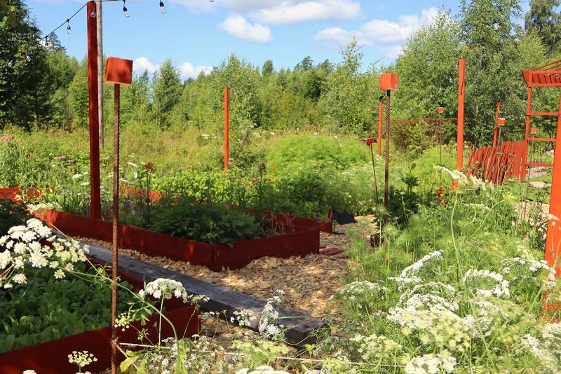 Upphöjda röda trädgårdsbäddar med bladrika växter och stigar av träflis omges av hög grön vegetation och vita vildblommor under en delvis molnig himmel.