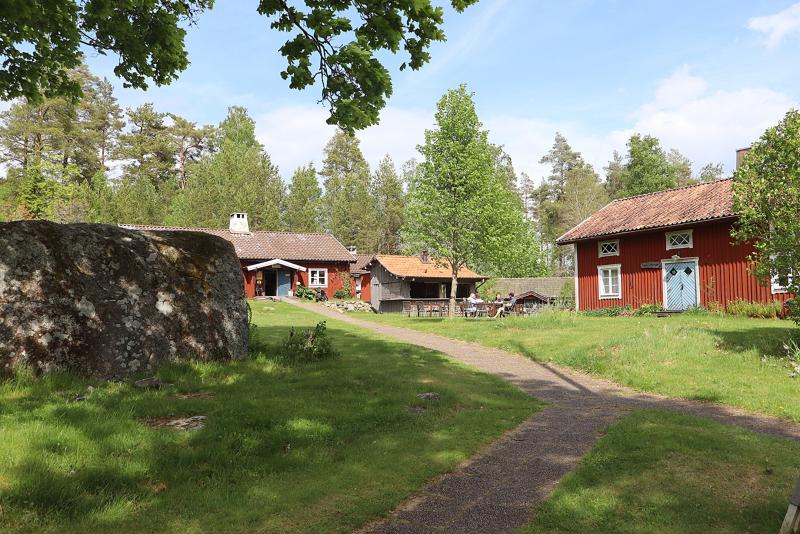 En stenstig leder till traditionella röda trähus omgivna av grönt gräs, träd och en stor stenbumling en solig dag.