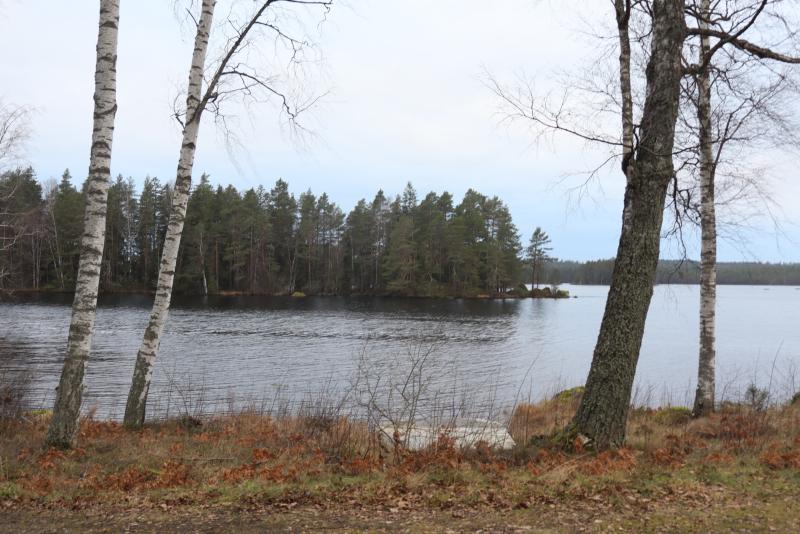 En lugn sjö omgiven av träd, med en liten skogsklädd ö i fjärran och kala träd i förgrunden en molnig dag.
