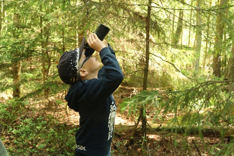 Ett barn med keps och huvtröja tittar upp genom en kikare i en solbelyst skog.
