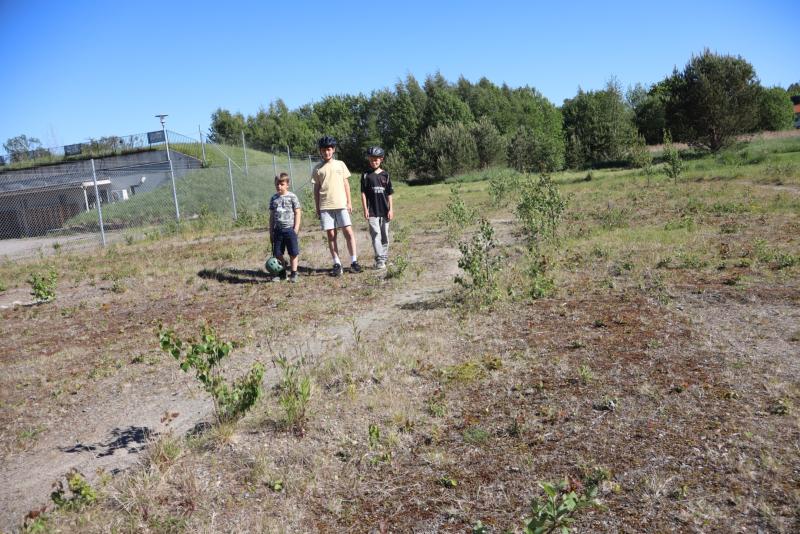 Tre pojkar står på ett gräsbevuxet fält med träd och en inhägnad byggnad i bakgrunden under en klarblå himmel.