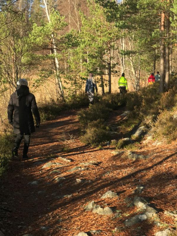 Fyra personer som går längs en skogsstig i vinterkläder. Träd och solljus syns i bakgrunden.