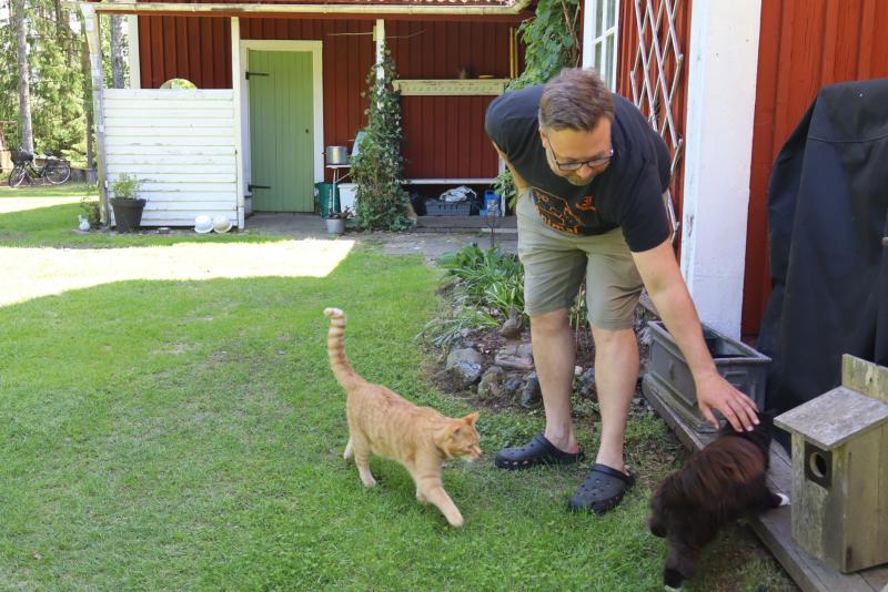 En man i shorts och t-shirt klappar en brun hund nära ett rött hus, medan en orange katt promenerar i närheten på en gräsmatta.