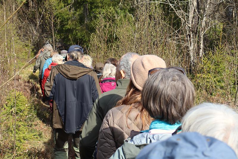 En grupp människor går tätt intill varandra längs en smal skogsstig omgiven av träd och buskar.