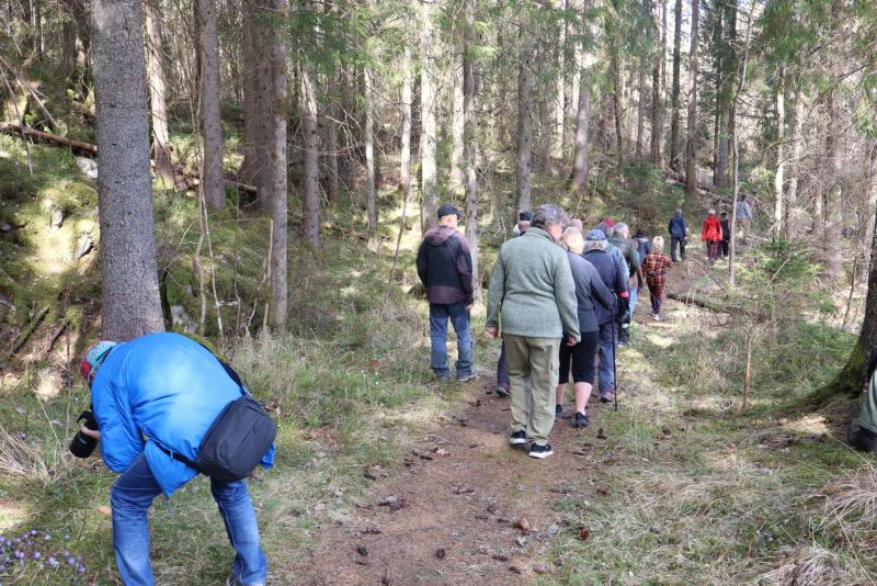 En grupp människor går längs en skogsstig, varav en person i blå jacka böjer sig ner nära stigen. De omges av täta träd och undervegetation.