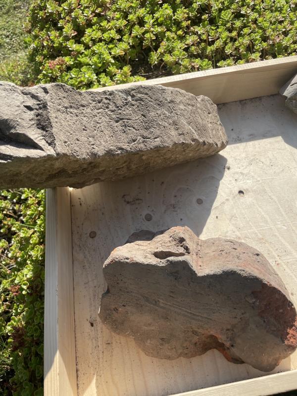 Två stora stenar, en grå och en rödaktig, är placerade på en träbricka utomhus, med gröna bladväxter synliga i bakgrunden.