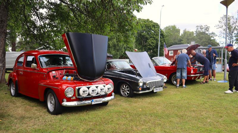 Tre klassiska bilar med motorhuven öppna står parkerade på gräset vid ett utomhusevenemang, med flera personer som står i närheten och träd i bakgrunden.