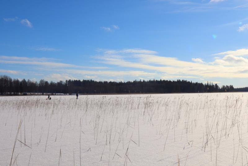 Ett brett snöigt fält med högt torrt gräs, några avlägsna människor som går och en skogsklädd trädlinje under en ljusblå himmel med spridda moln.