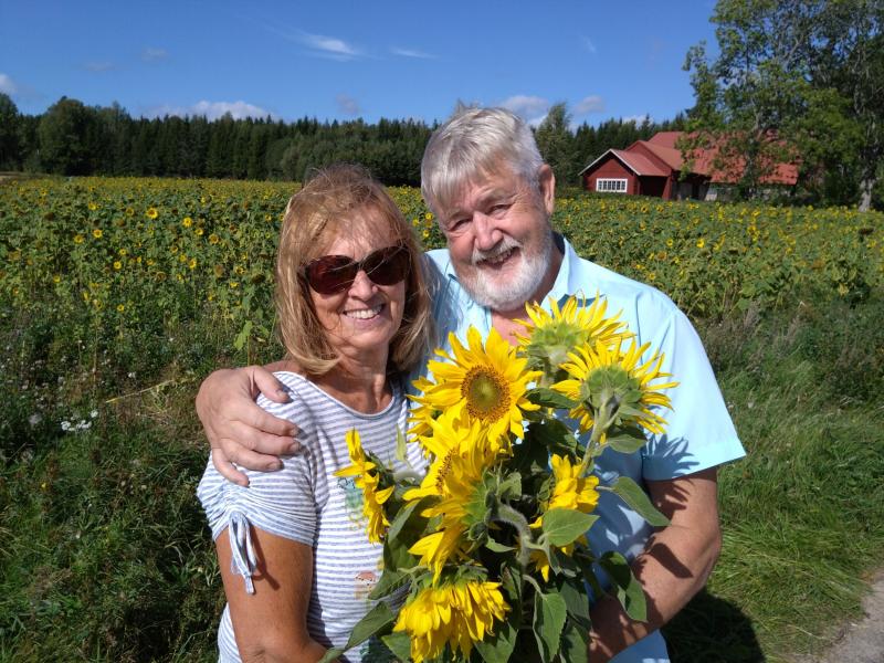 Ett äldre par står i ett solrosfält och håller i en bukett solrosor och ler mot kameran. Ett hus med rött tak syns i bakgrunden under en klarblå himmel.