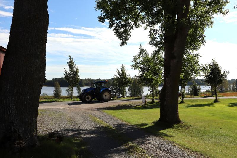En blå traktor kör på en grusväg bredvid en gräsyta med träd, nära en vattensamling under en delvis molnig himmel.