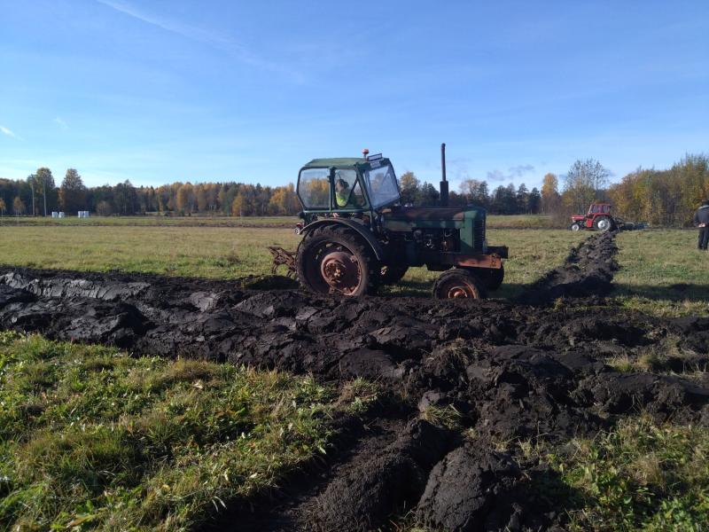 En traktor fast i lerig mark på ett gräsbevuxet fält, med en annan traktor synlig på avstånd. Träd kantar horisonten under en klarblå himmel.