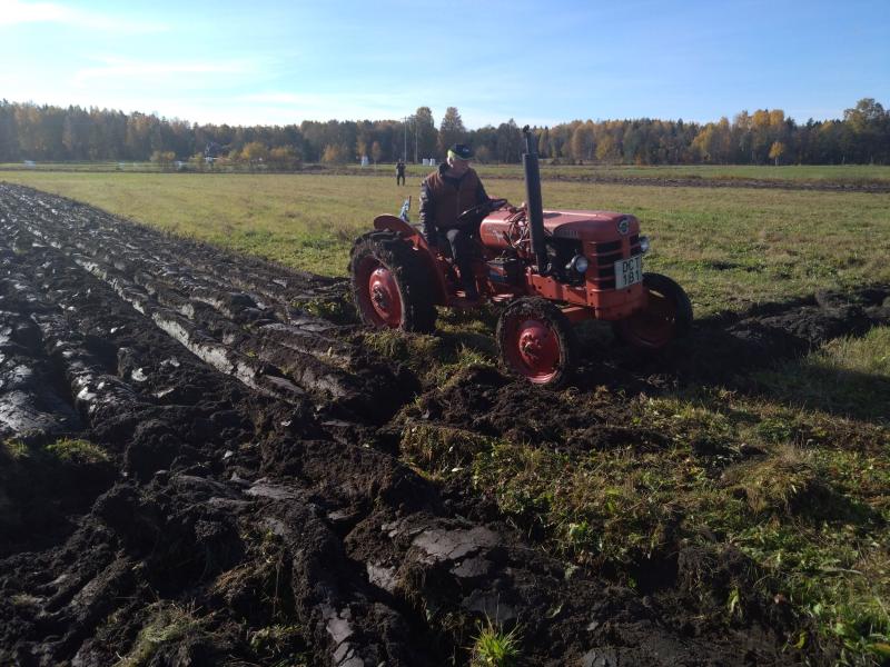 En person som kör en röd traktor plöjer en åker en solig dag, med ett skogsområde i bakgrunden.